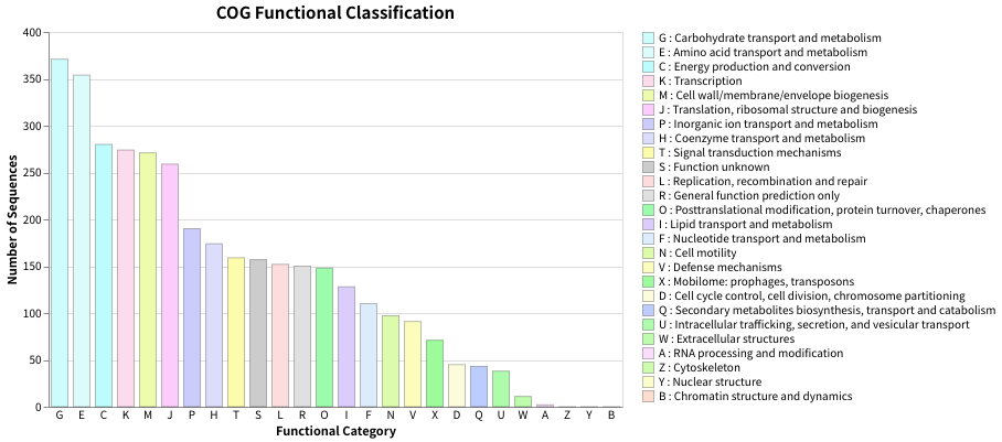 05_barchart_descending_sort.png