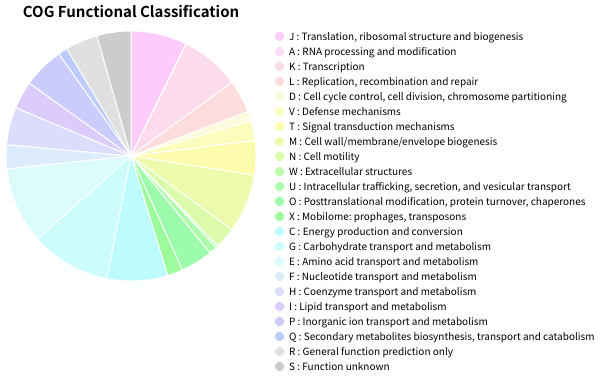 02_piechart_adjust_figsize.png