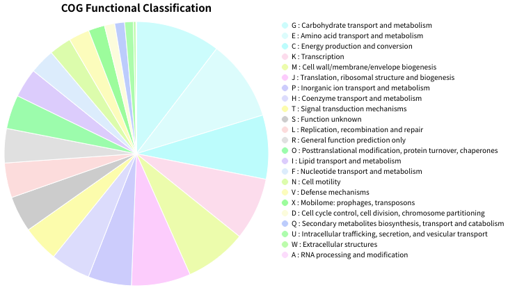 03_piechart_descending_sort.png