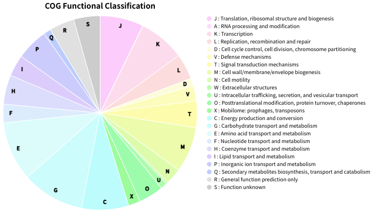 04_piechart_show_letter.png