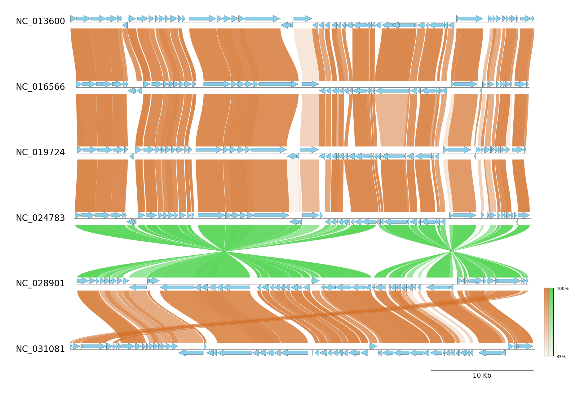 pgv-mmseqs_example2.png