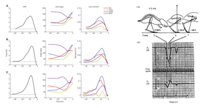 force graphs