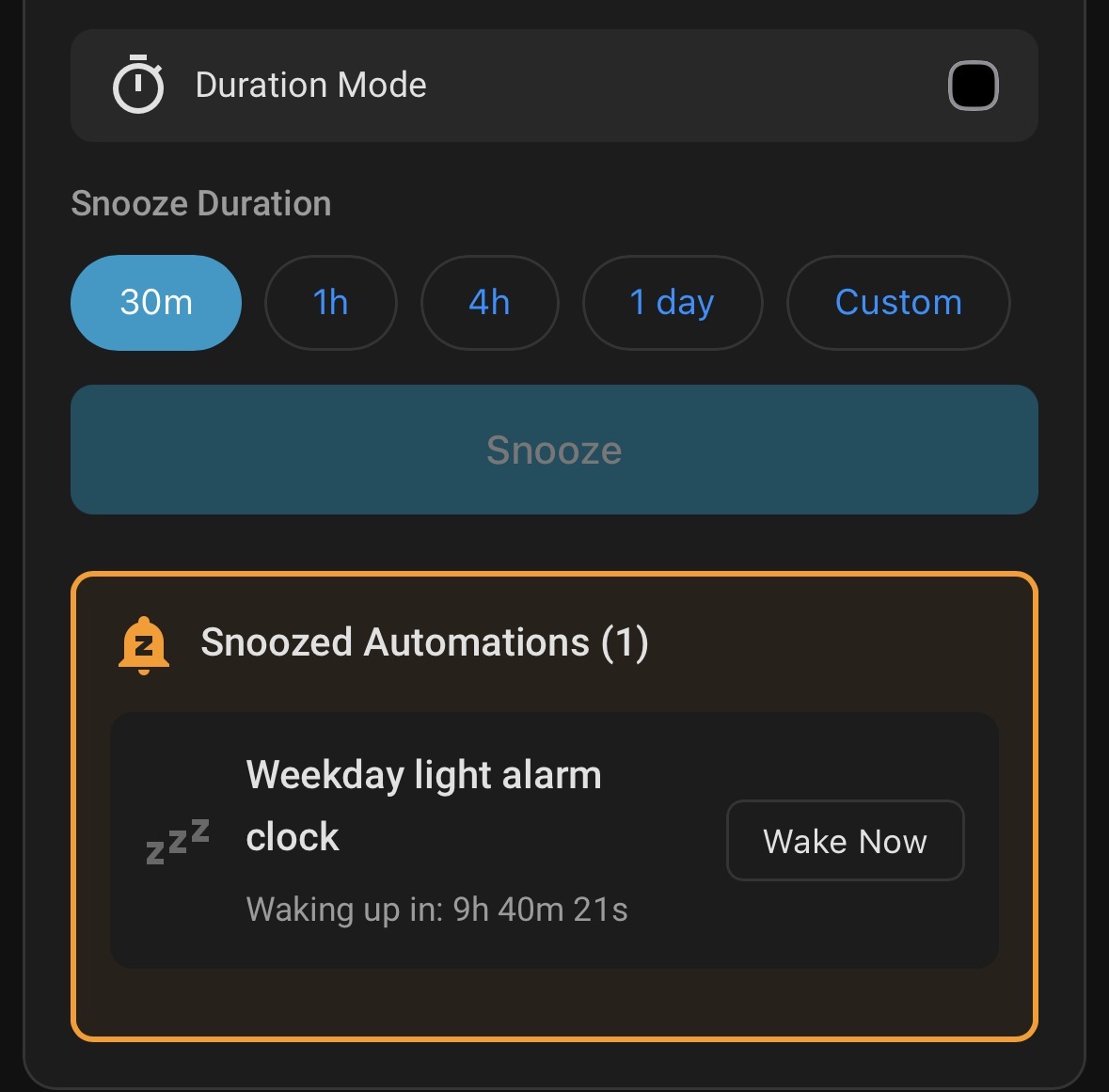 Snoozed Automations