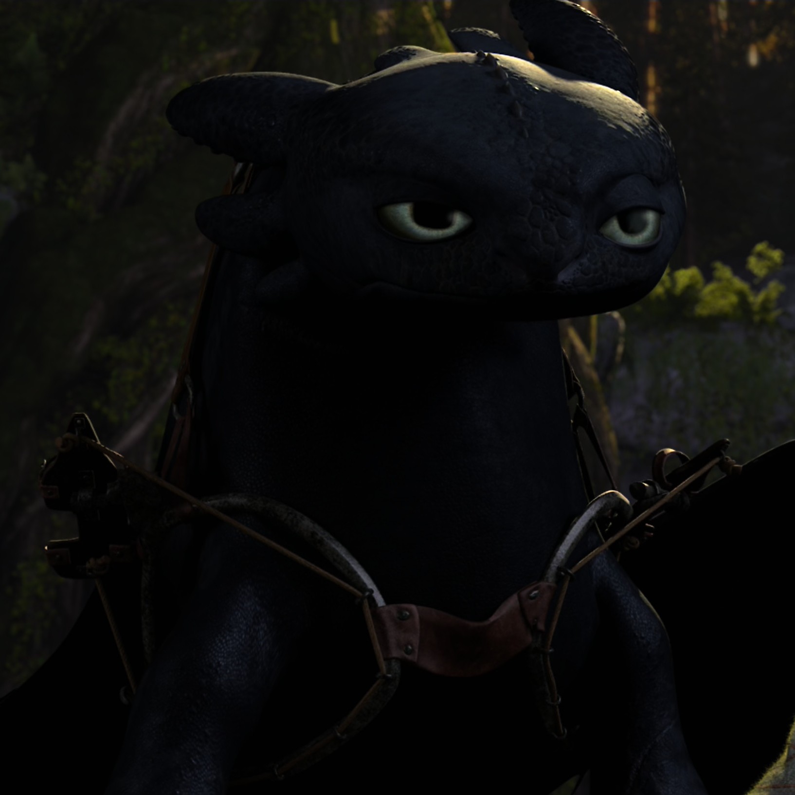 Toothless pic n°1