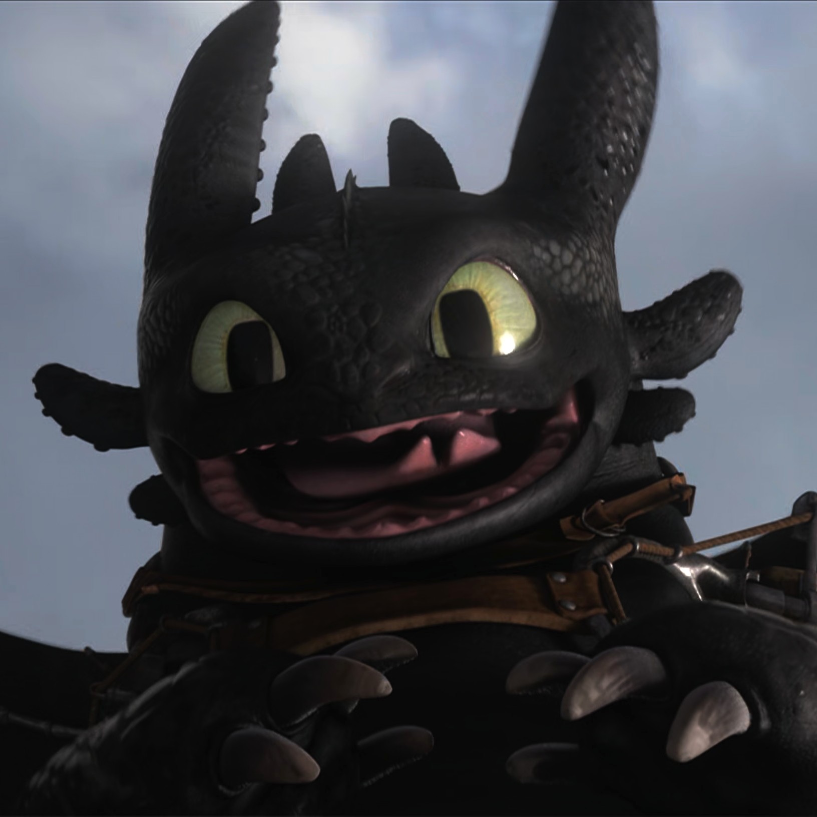 Toothless pic n°13