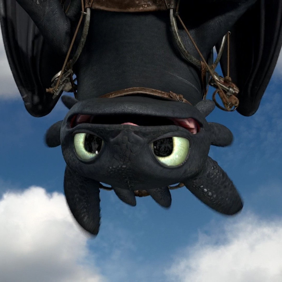 Toothless pic n°17
