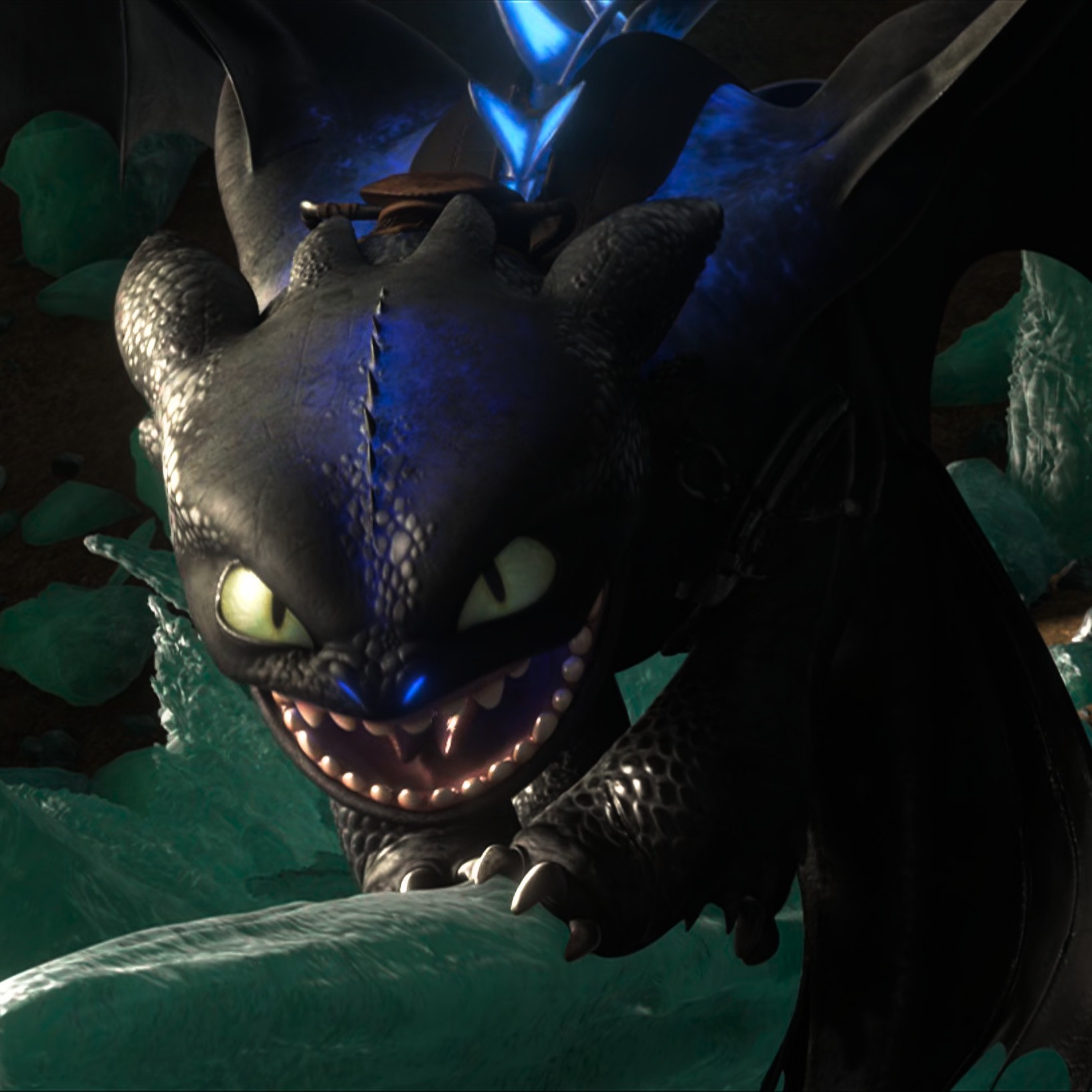 Toothless pic n°20