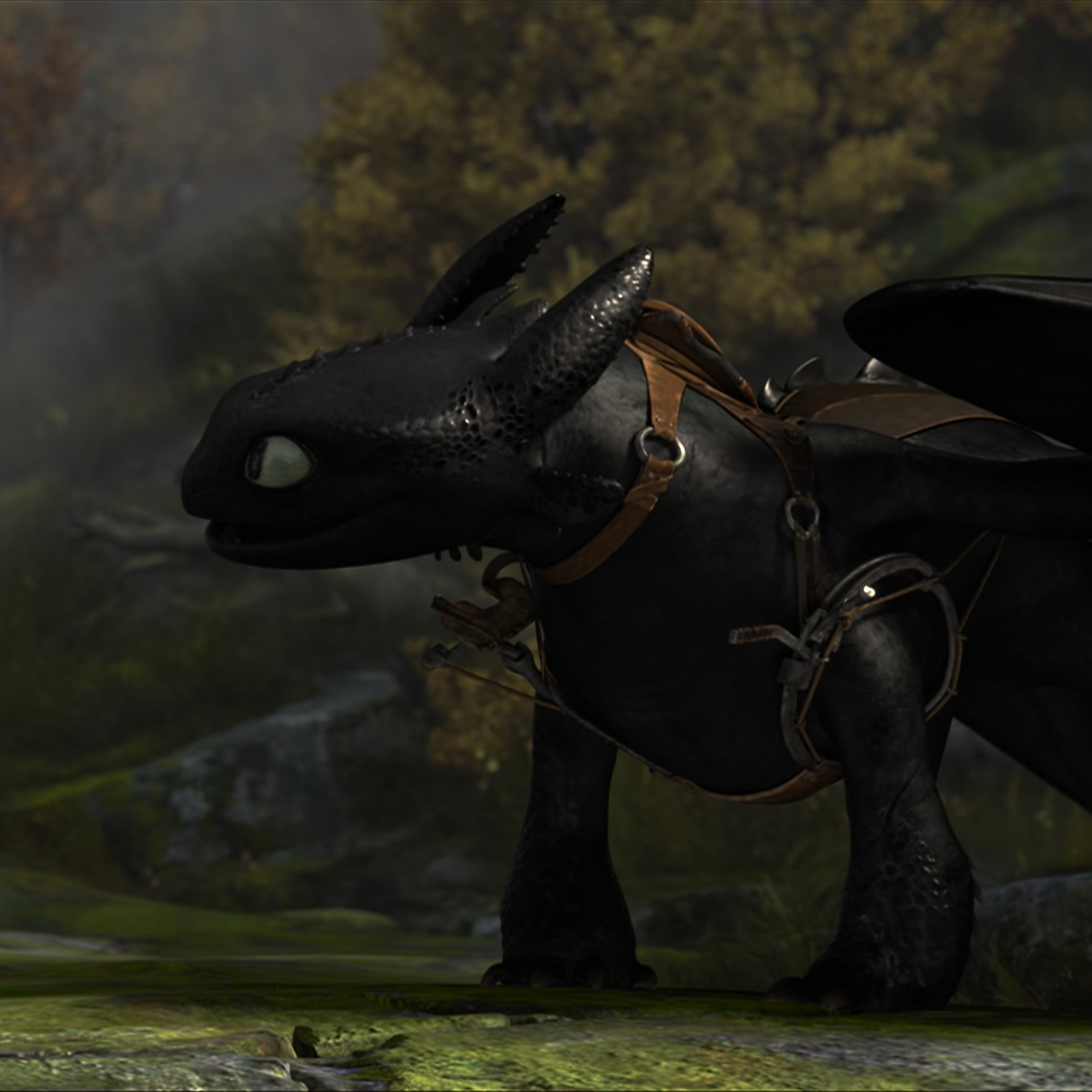Toothless pic n°21