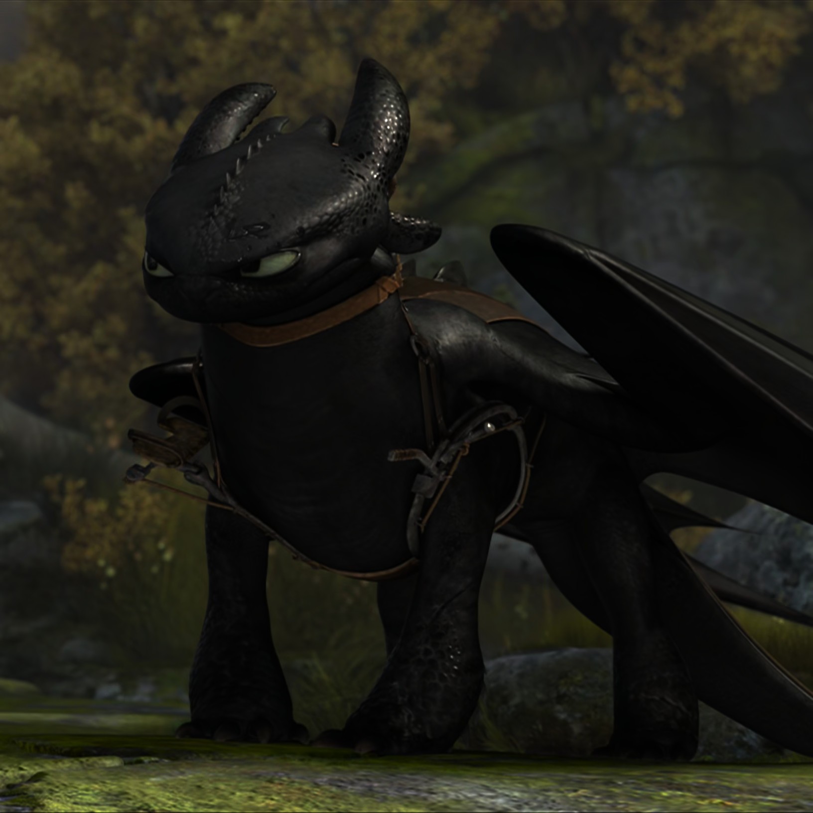 Toothless pic n°23