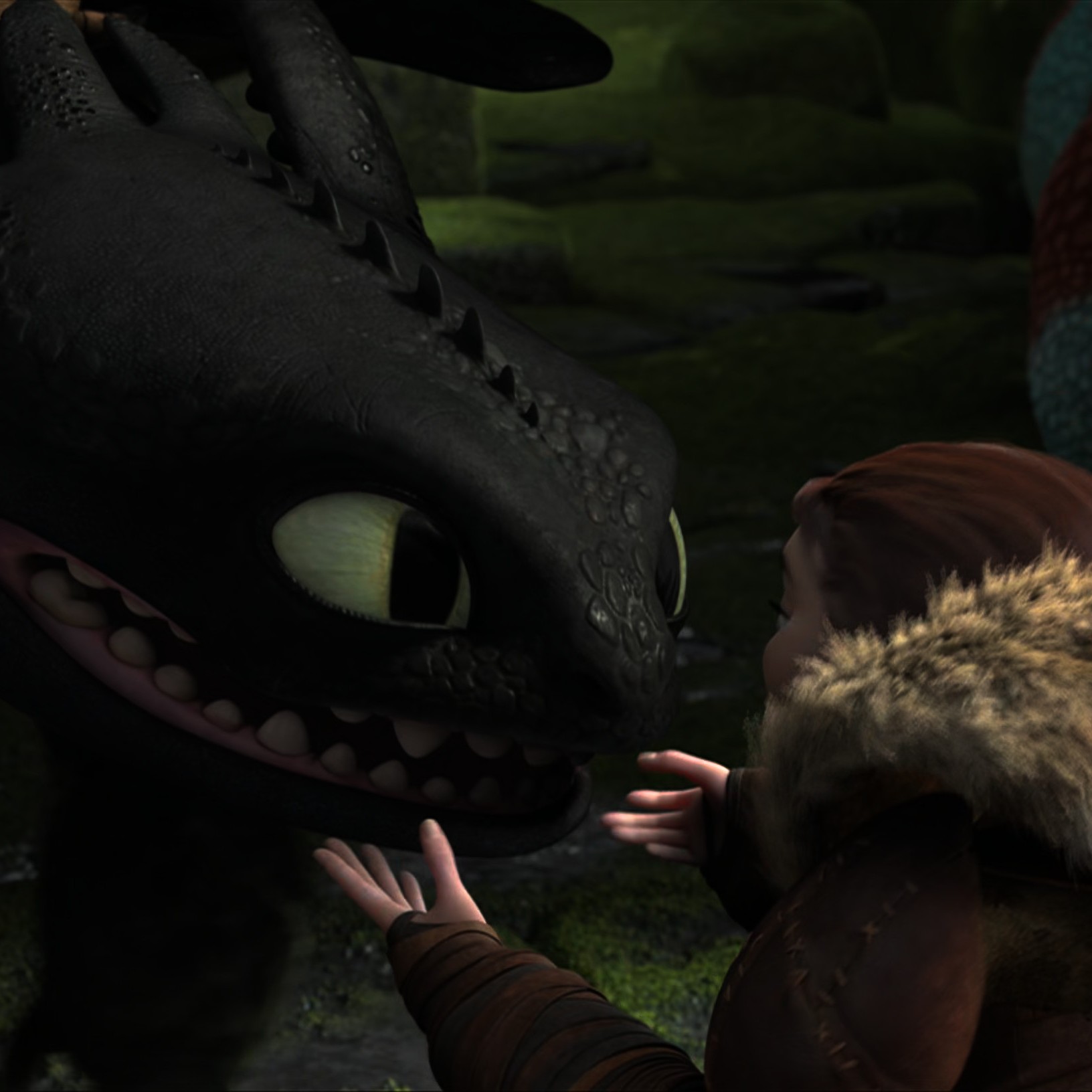 Toothless pic n°24