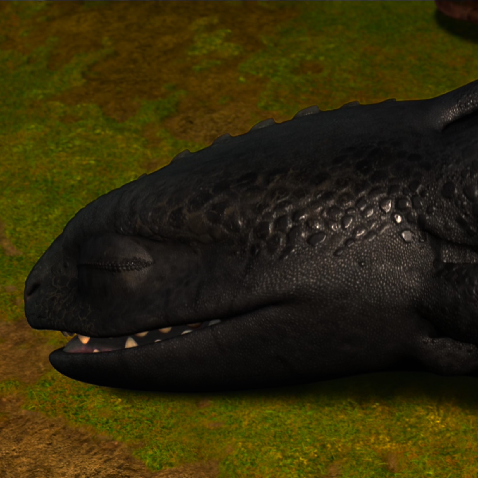 Toothless pic n°25