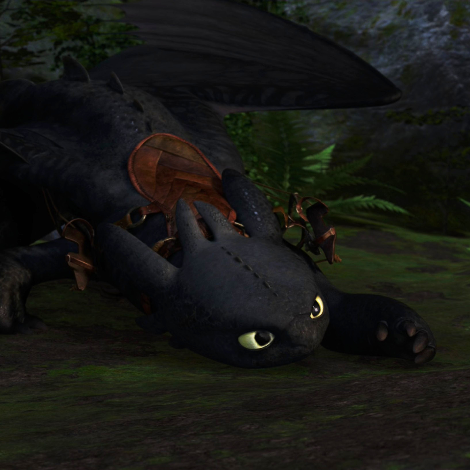 Toothless pic n°26