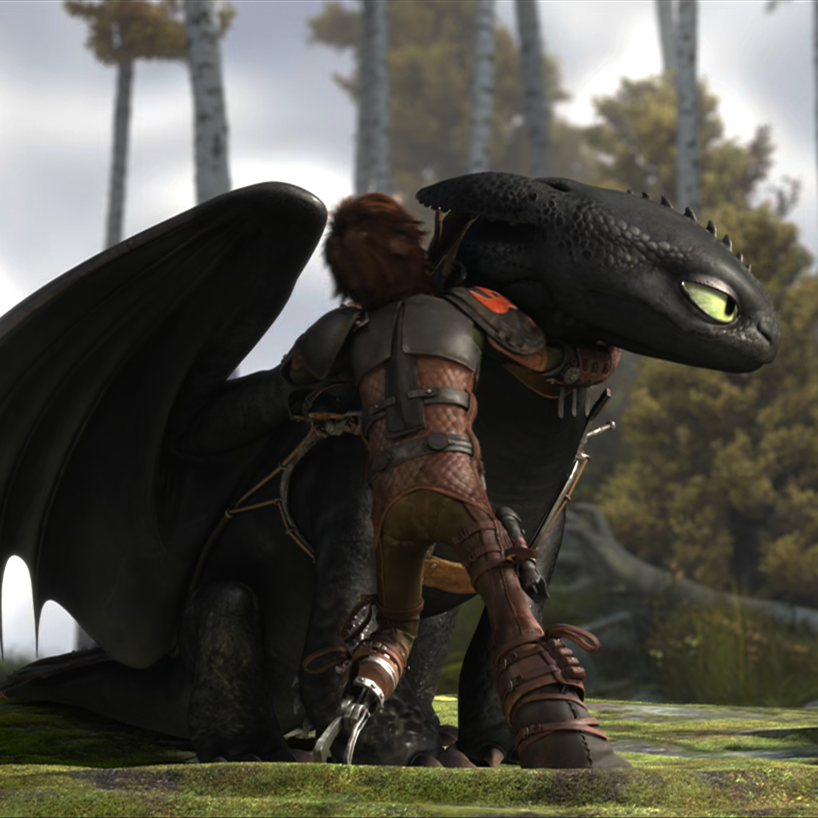 Toothless pic n°2