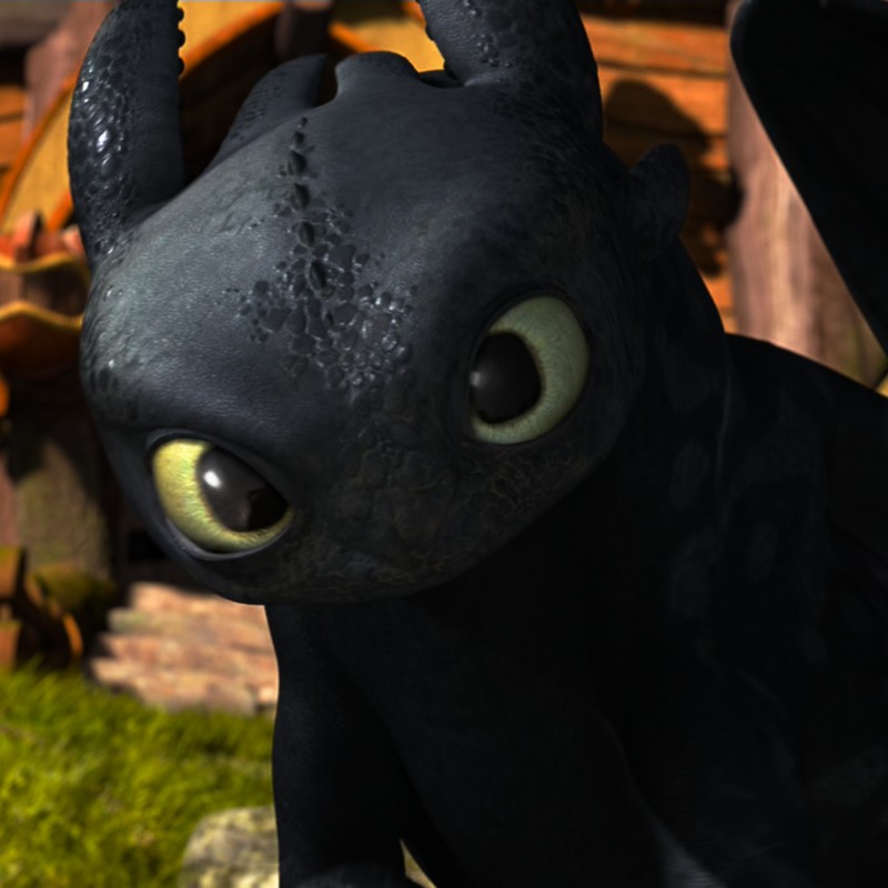 Toothless pic n°3