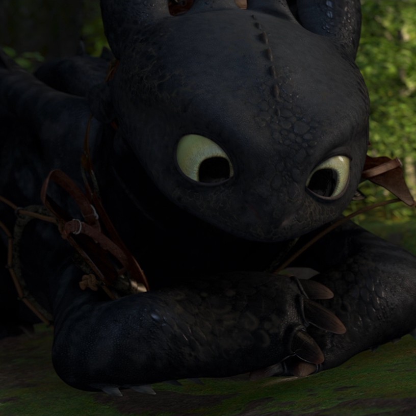 Toothless pic n°33