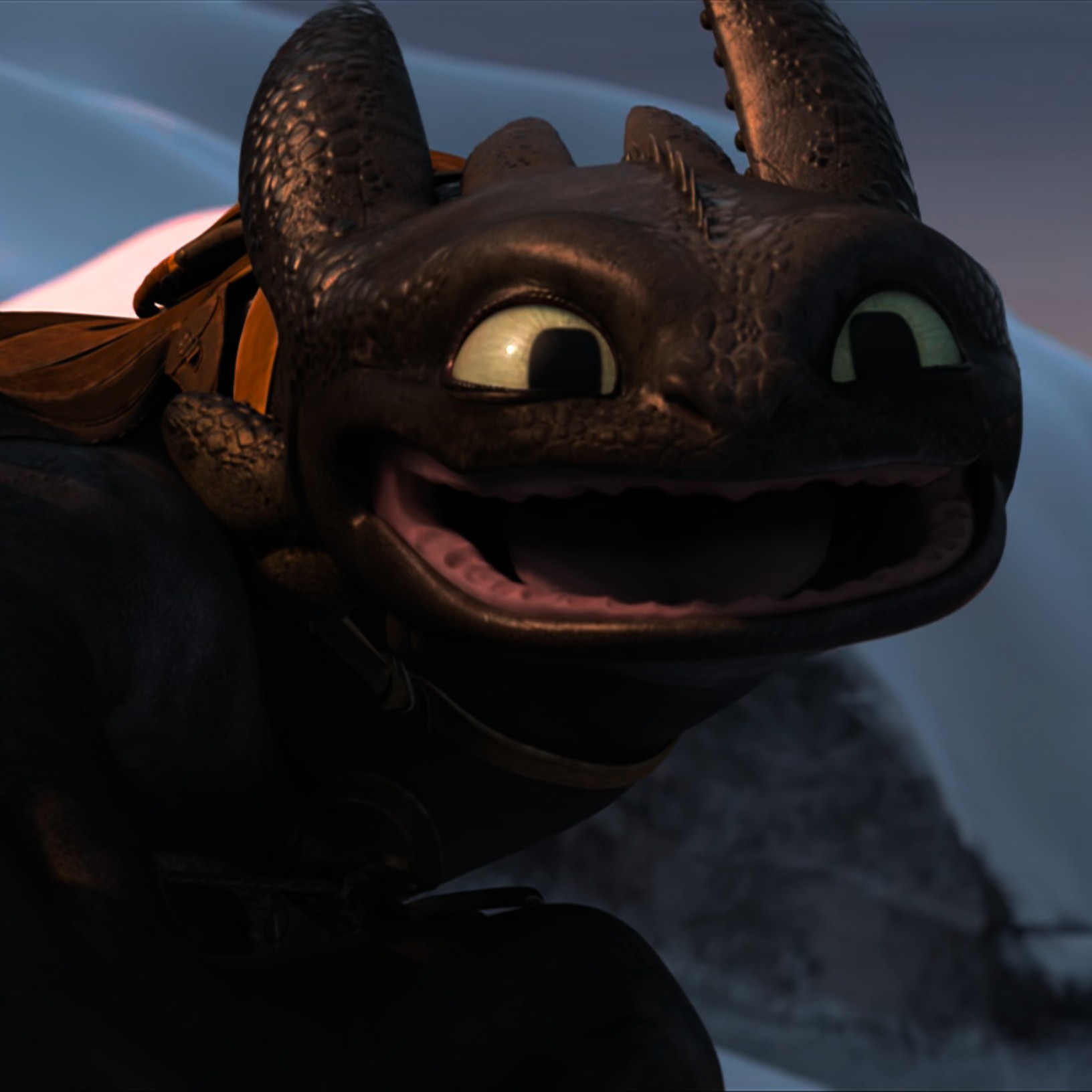 Toothless pic n°36
