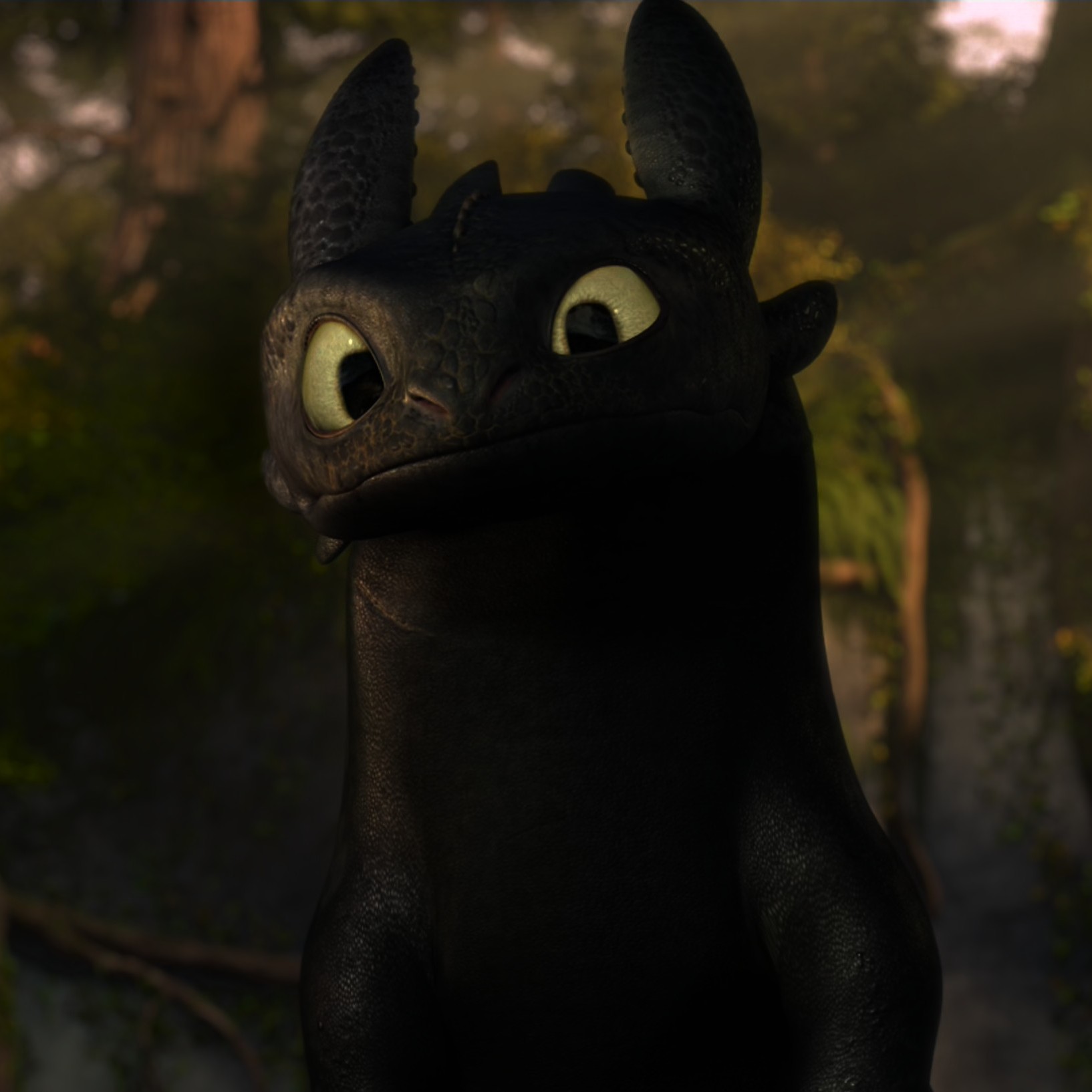 Toothless pic n°37
