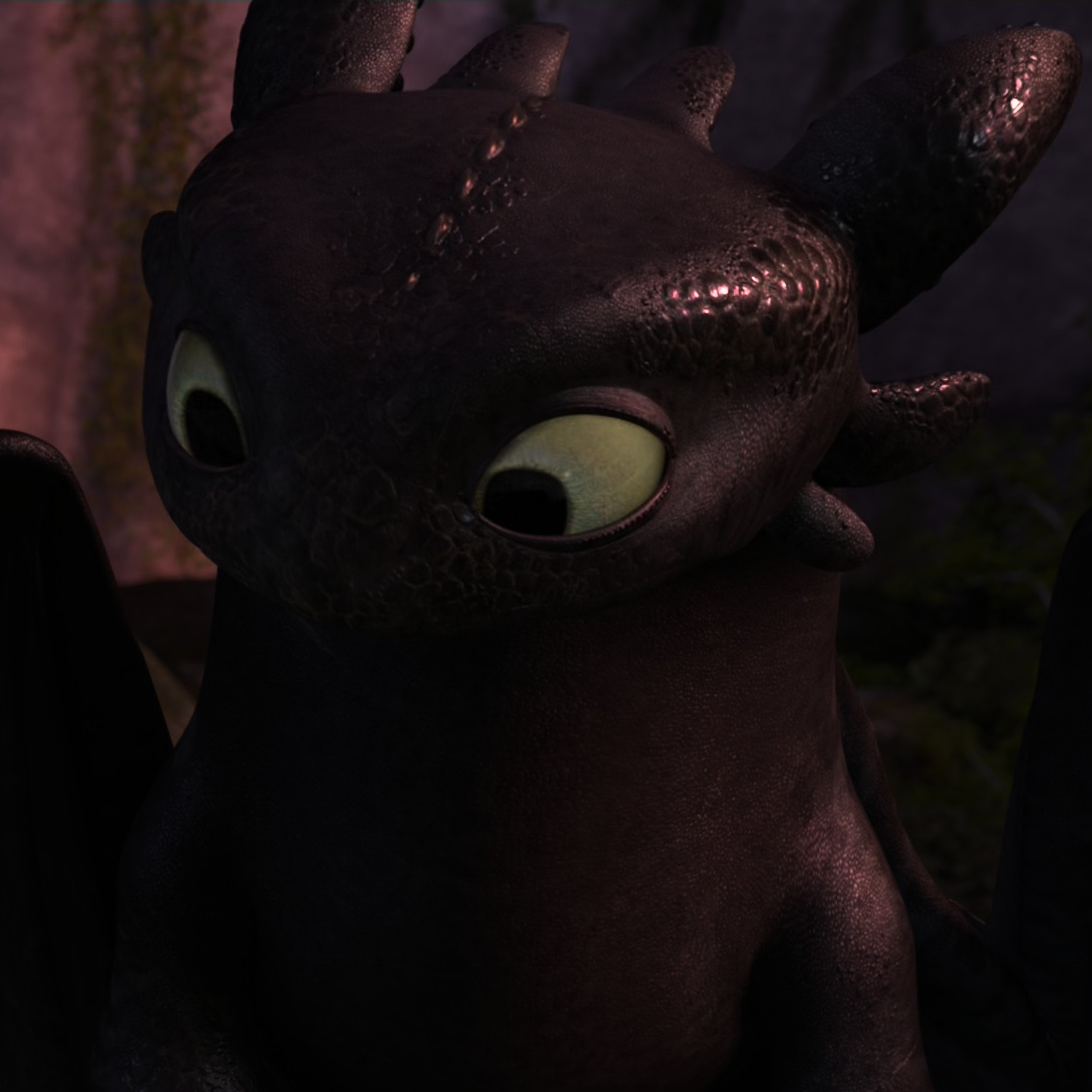 Toothless pic n°39
