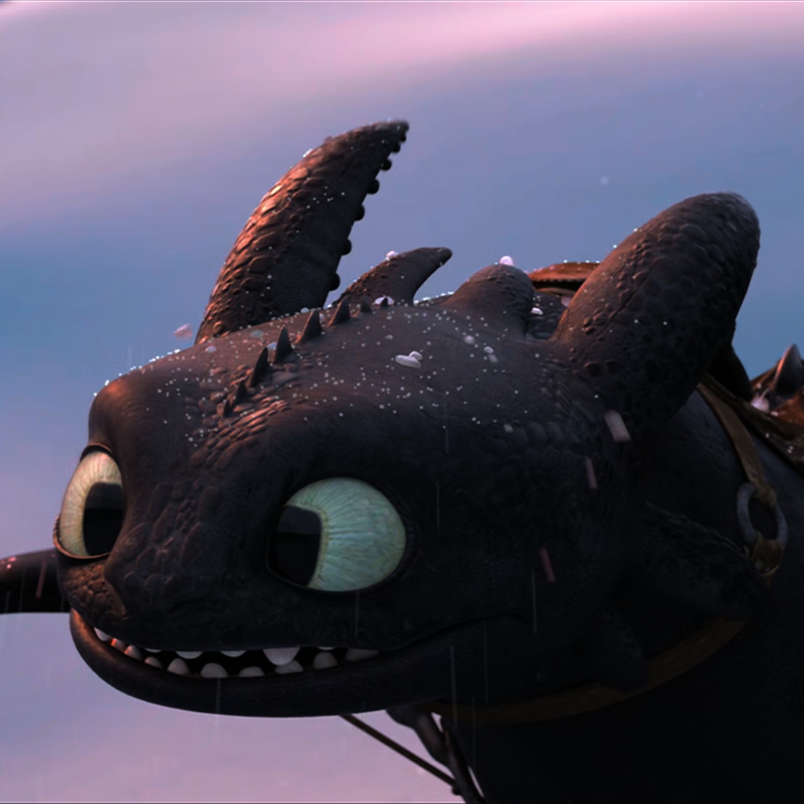 Toothless pic n°4
