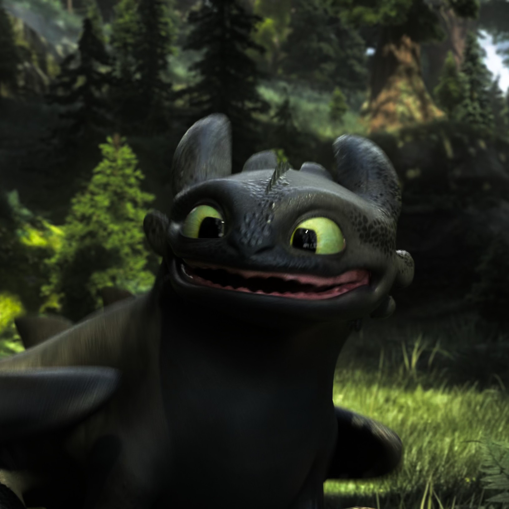 Toothless pic n°45