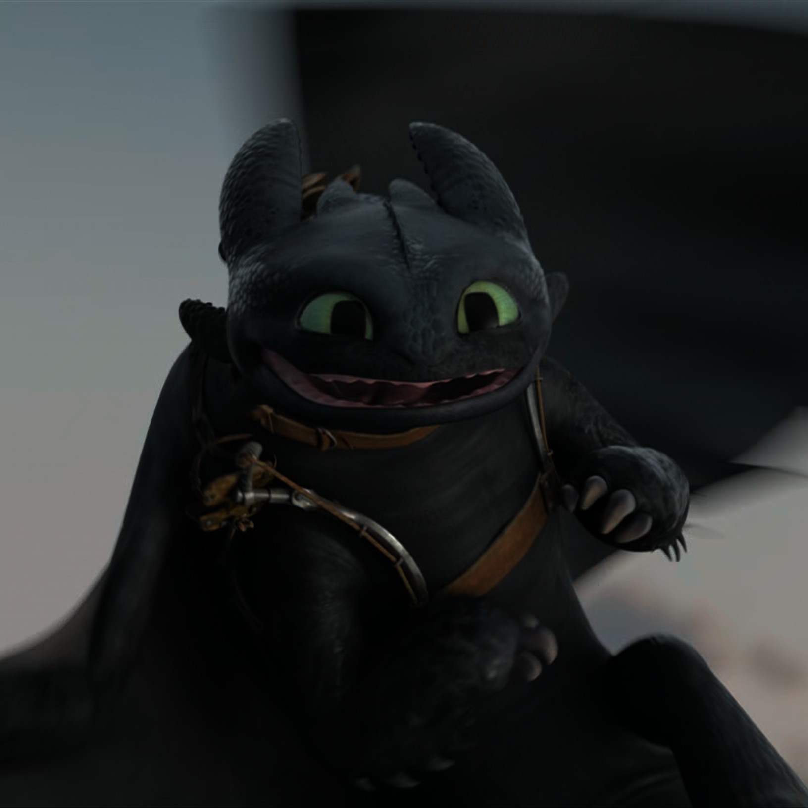 Toothless pic n°46