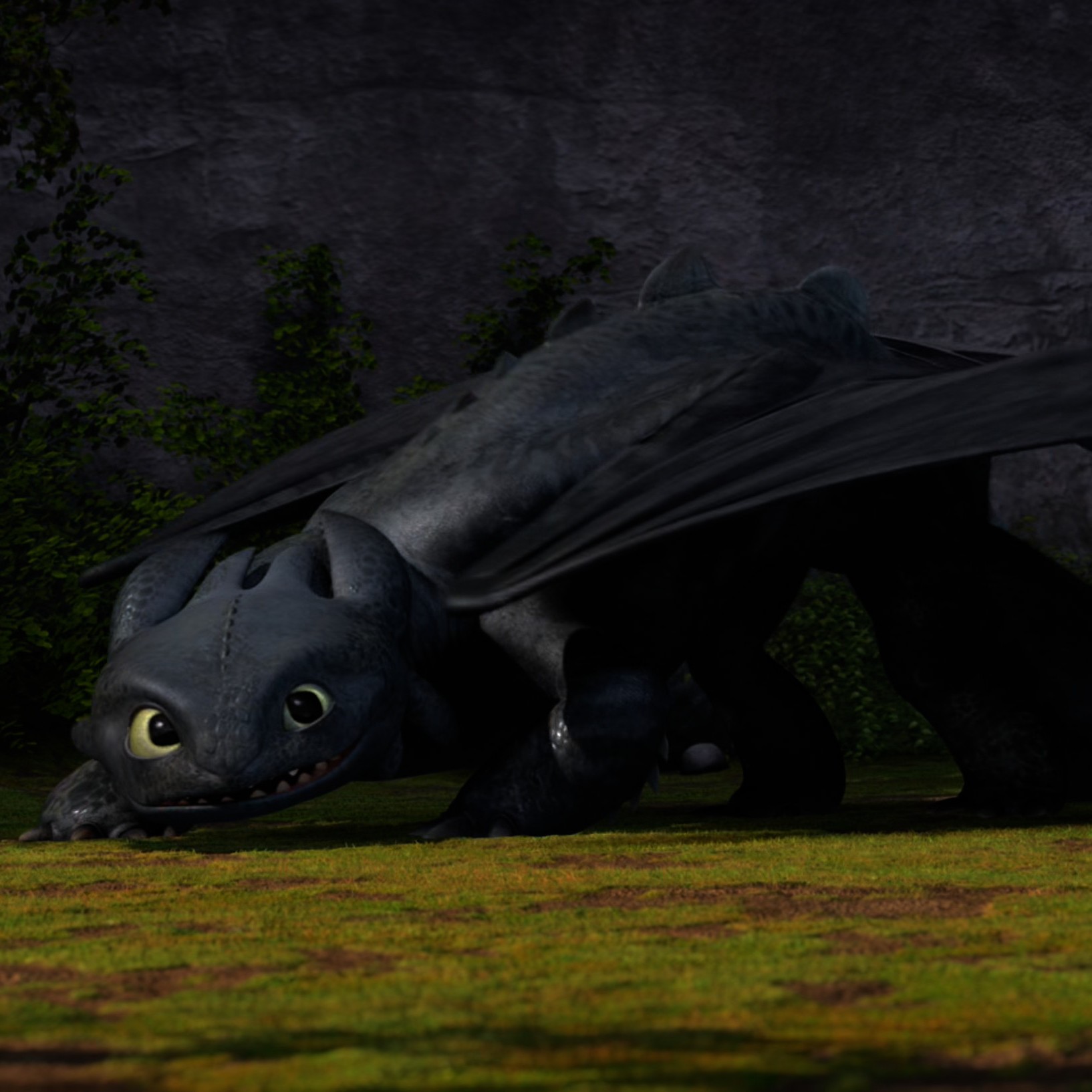 Toothless pic n°49