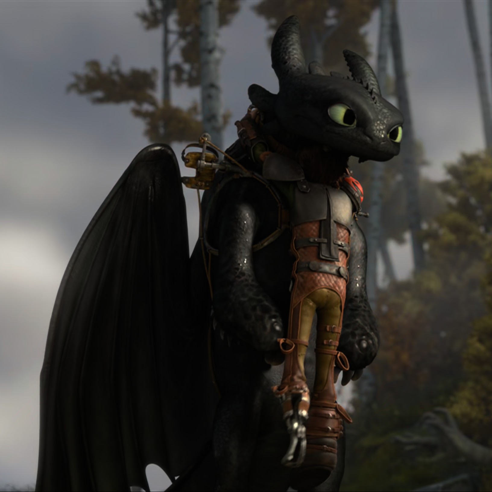 Toothless pic n°50