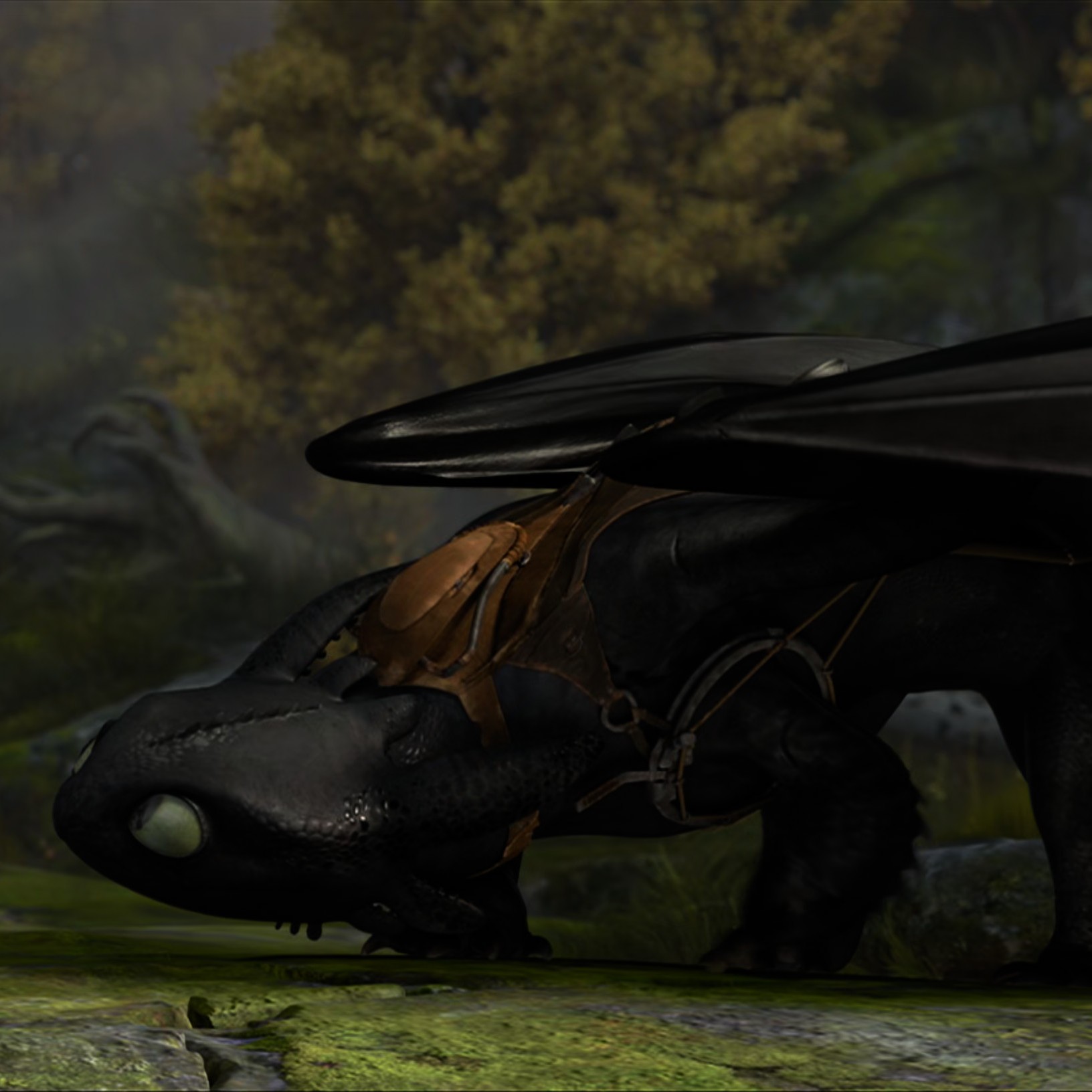 Toothless pic n°51