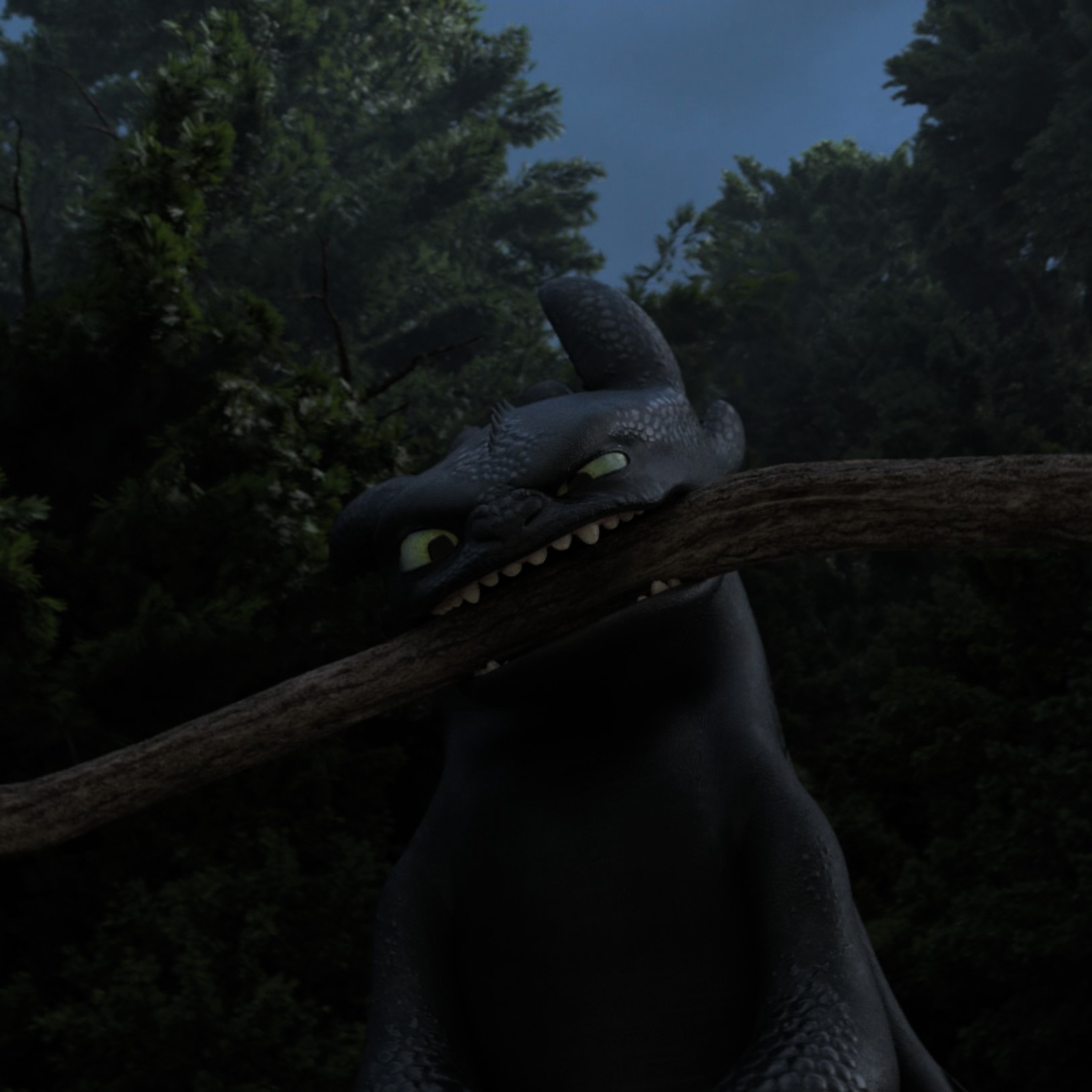Toothless pic n°55