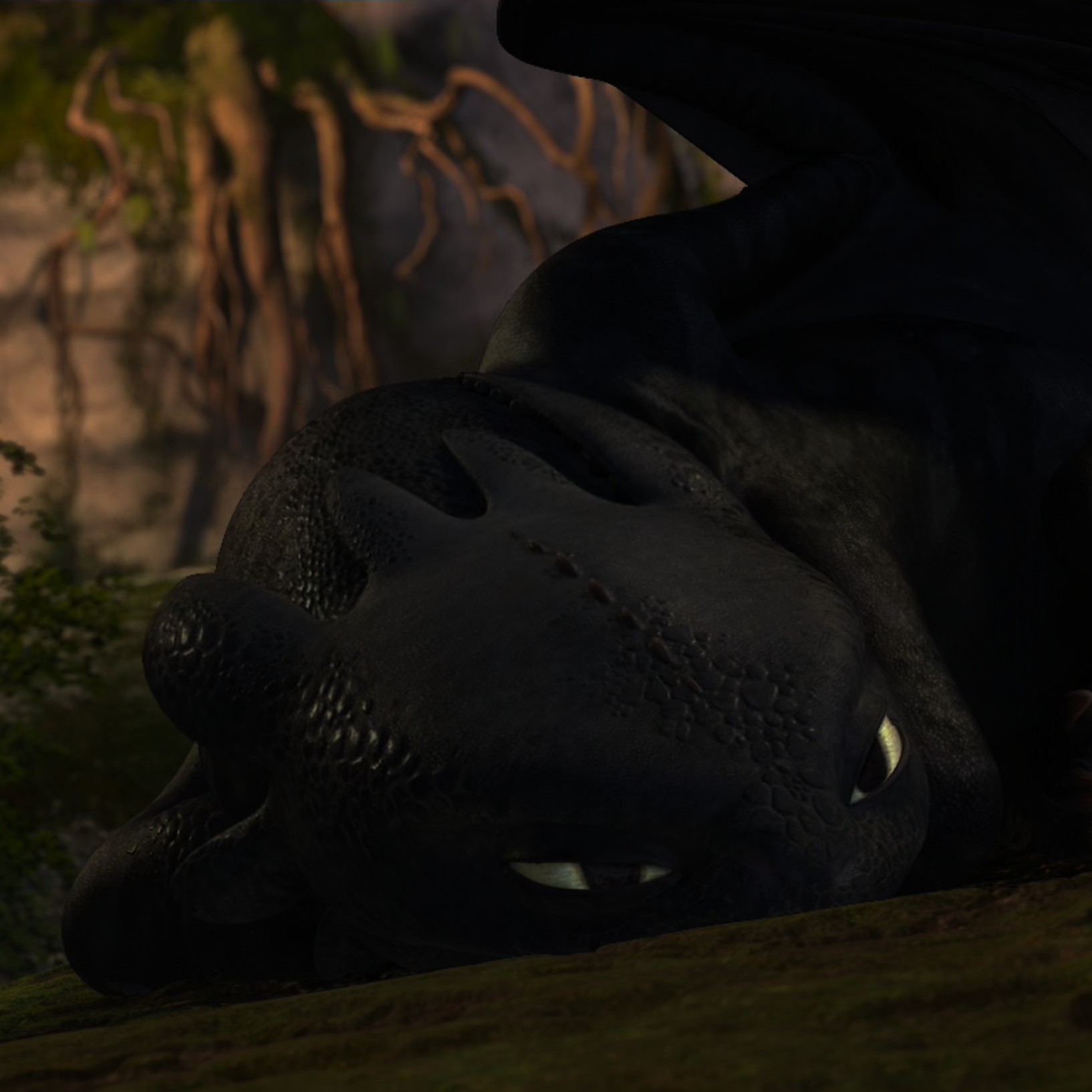 Toothless pic n°59