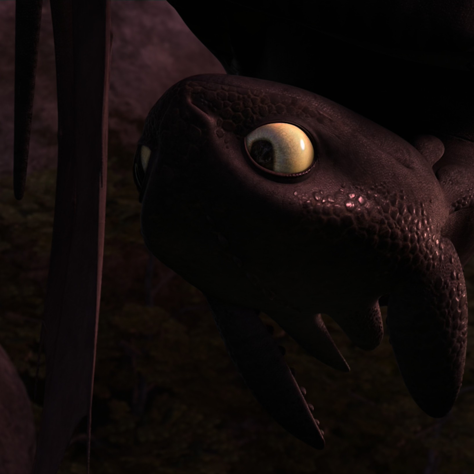 Toothless pic n°60