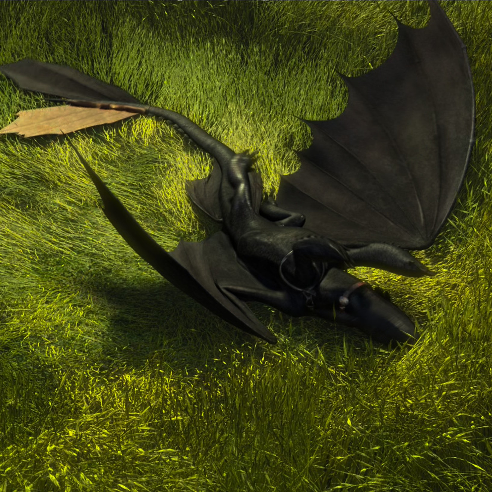 Toothless pic n°62