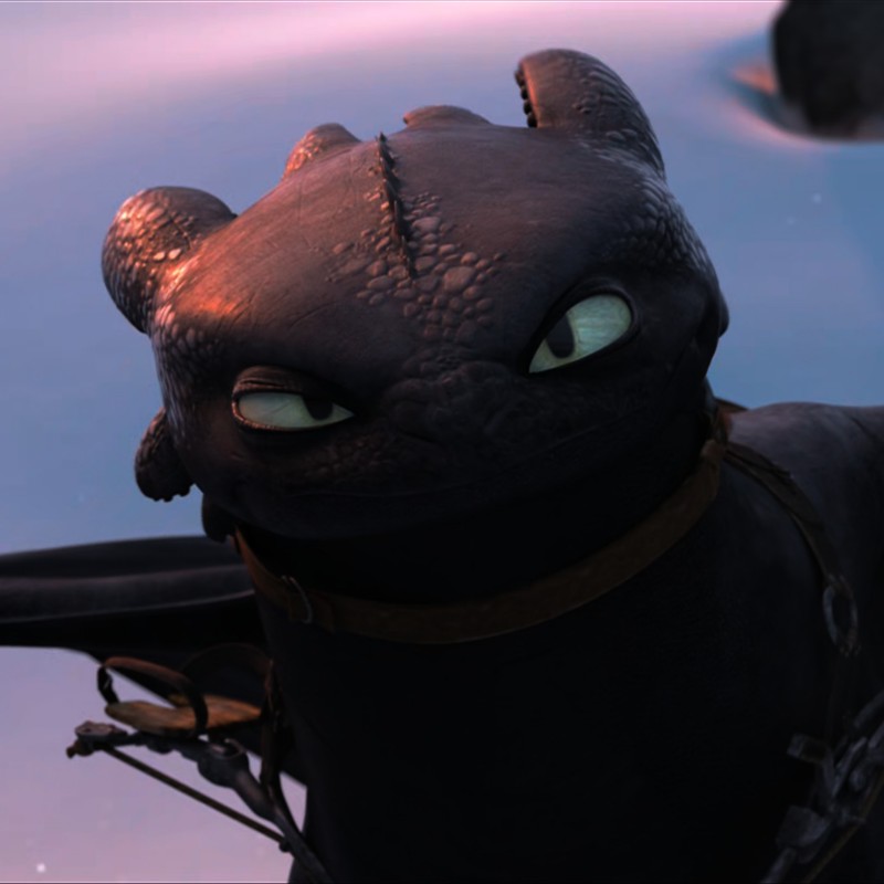 Toothless pic n°8