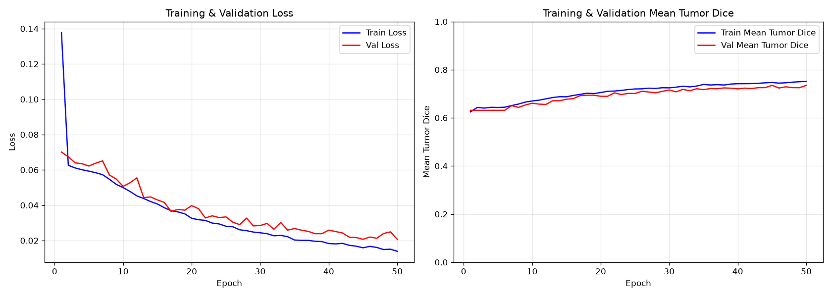 Training Curves