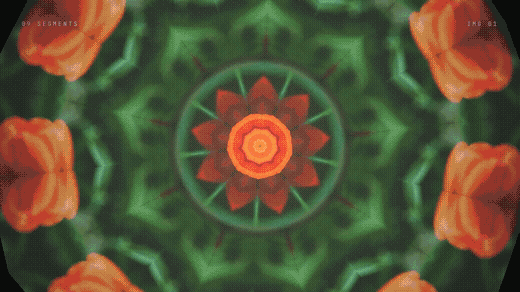 镜像万花筒 · 照片变幻 — Demo