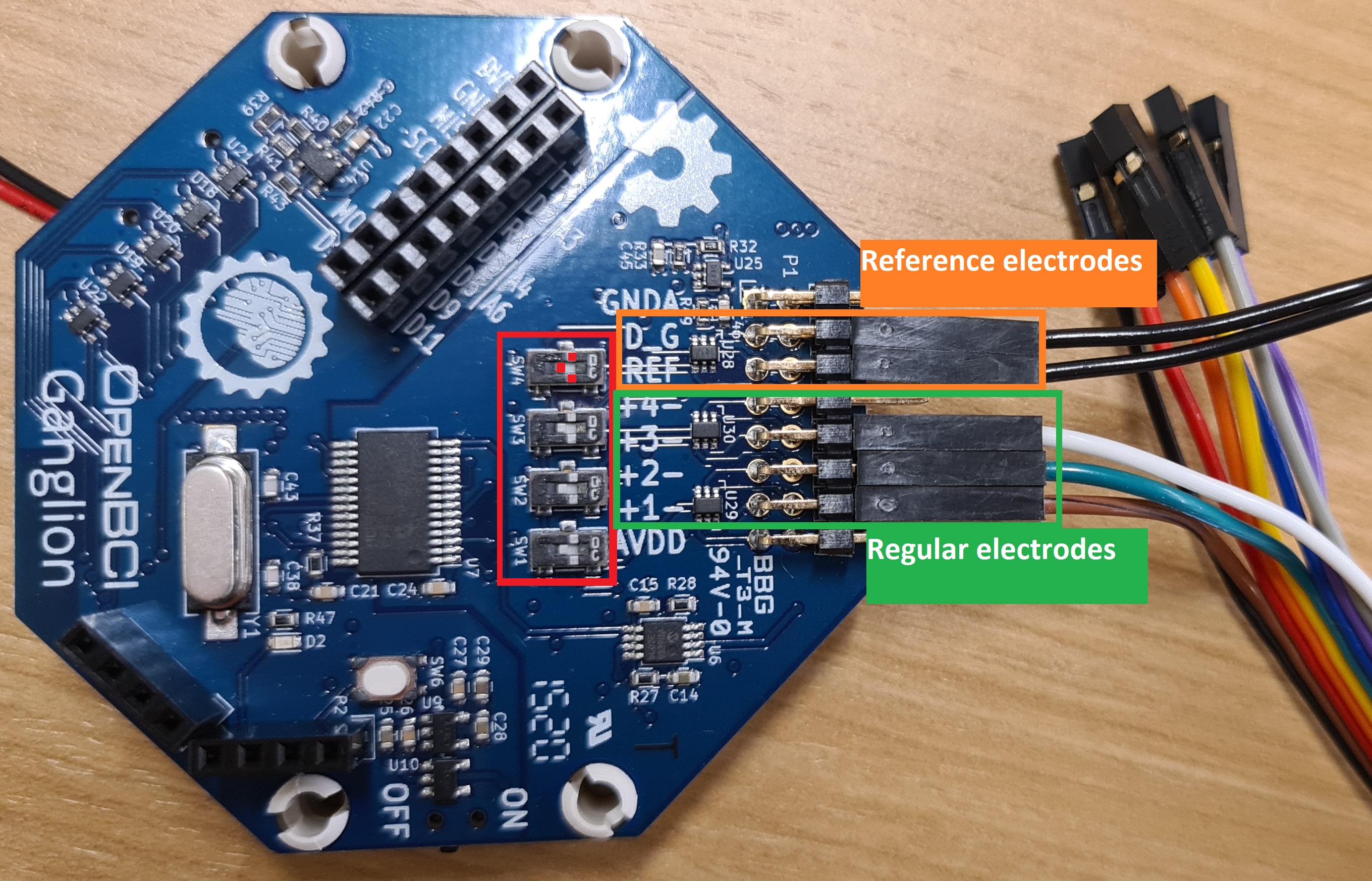 Ganglion_board_setup