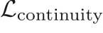 $\mathcal{L}_\mathrm{continuity}$