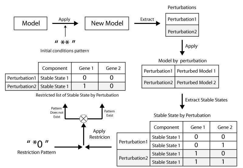 Workflow 1