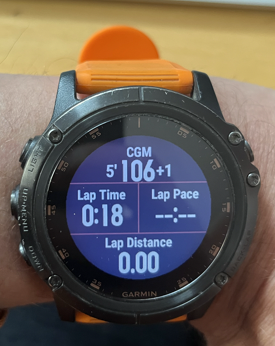 Garmin screen