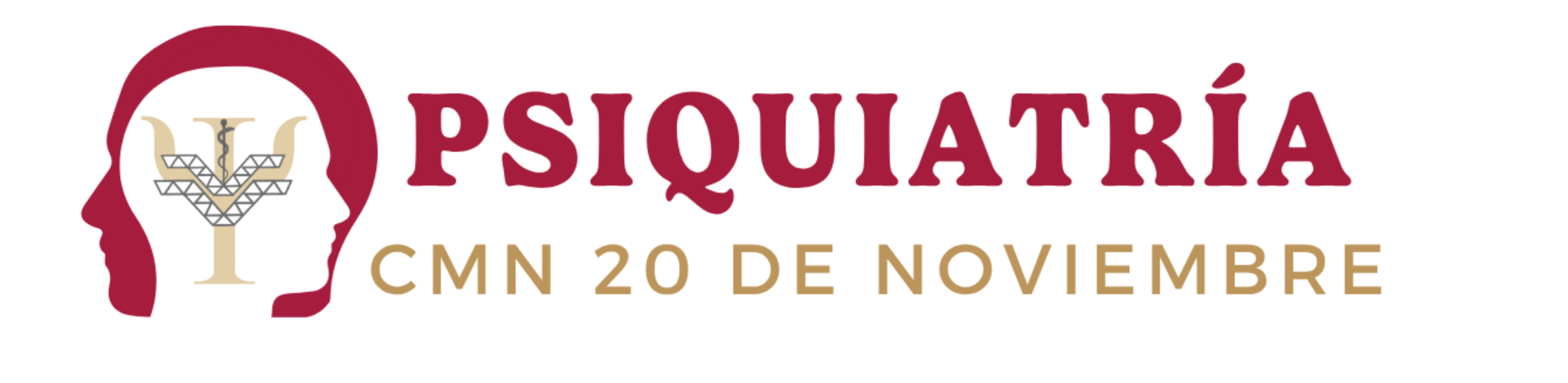 Psiquiatría CMN 20 Nov