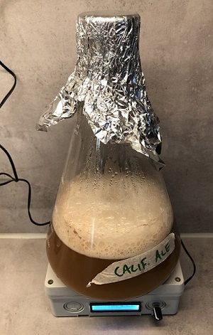 Yeast fermentation