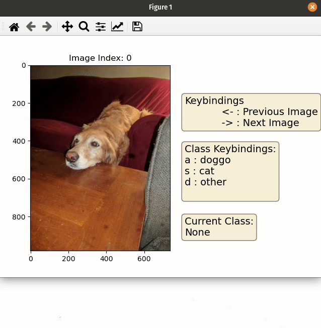 gif of usage for labelling images of cats and dogs