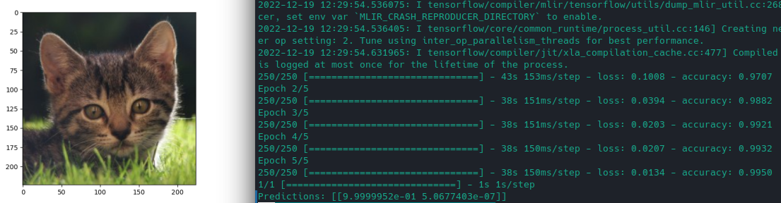 Tensorflow Transfer Learning