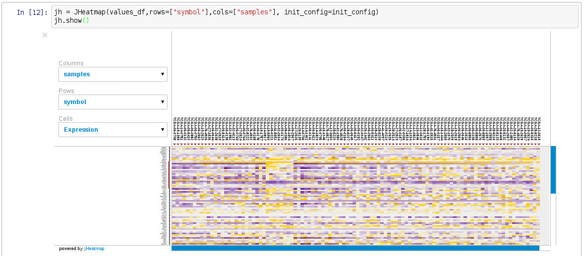 Image of jHeatmap in iPython Notebook