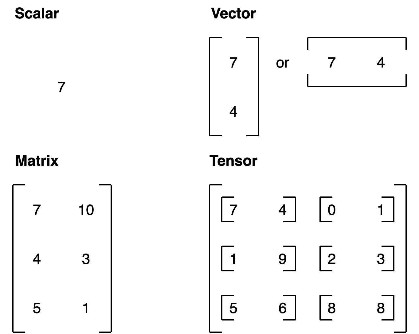 scalar vector matrix tensor and what they look like