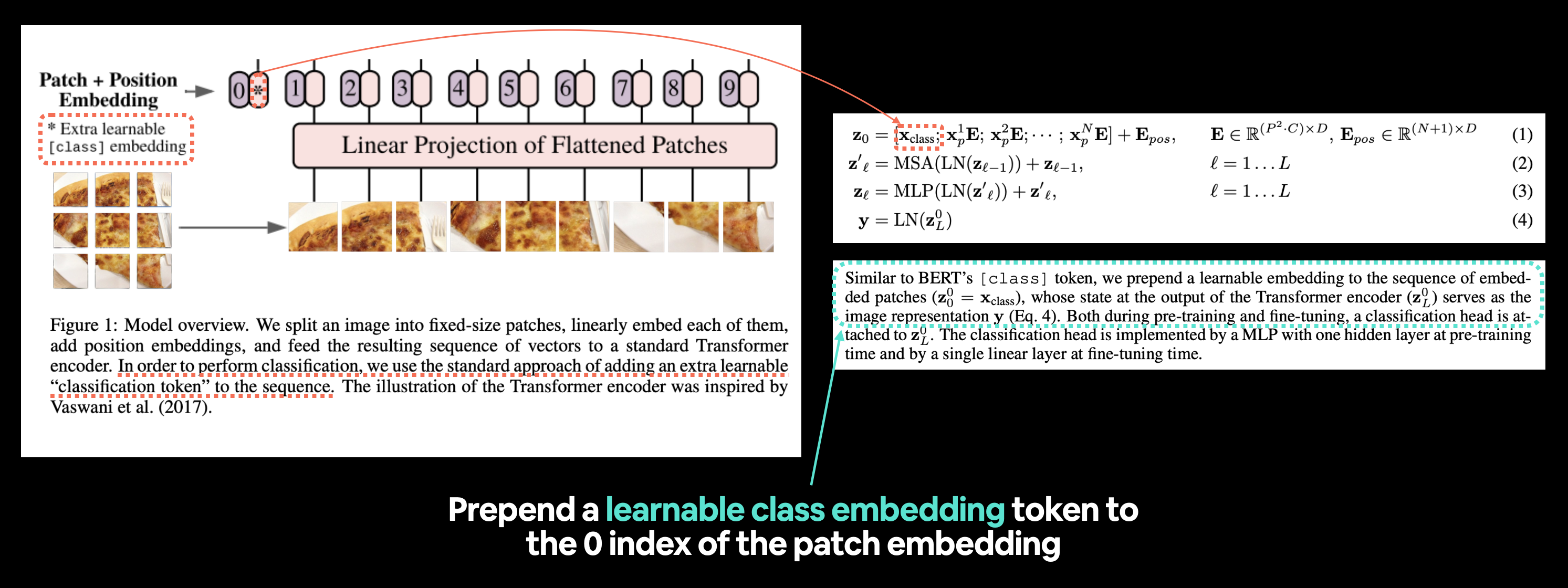 class token embedding highlight from the vision transformer paper figure 1 and section 3.1