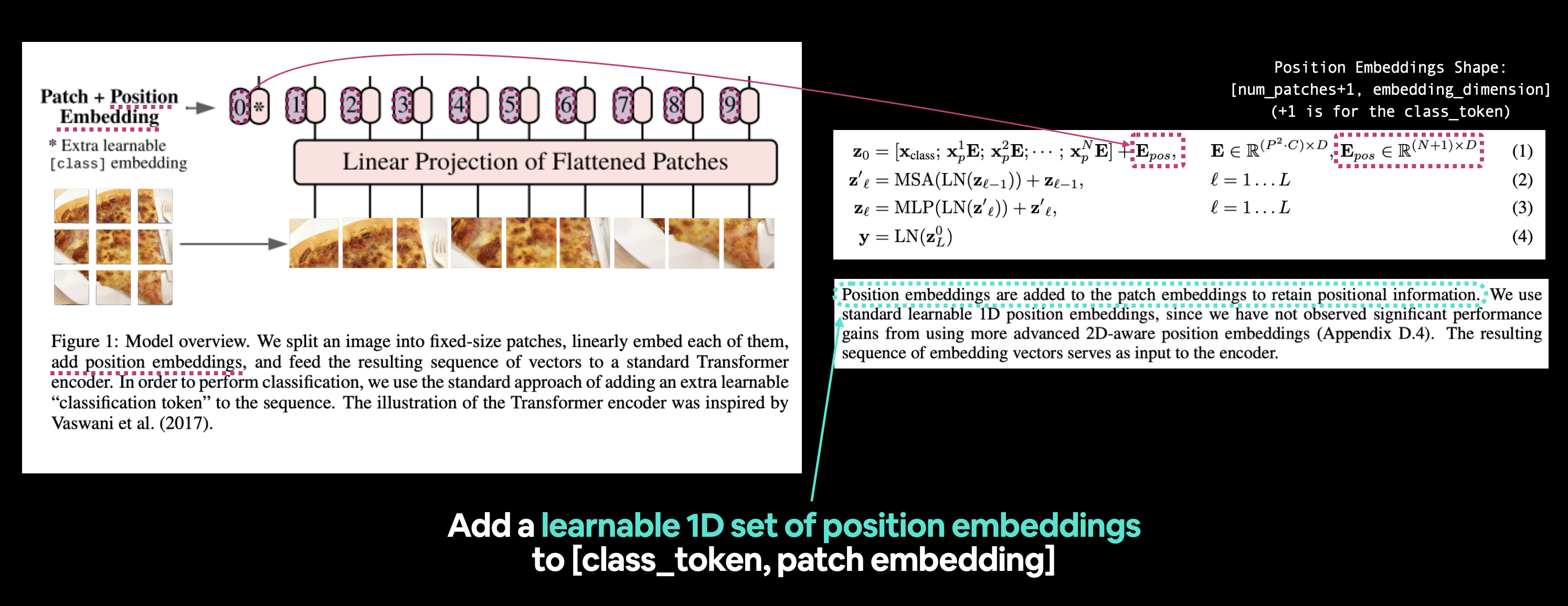 extracting the position embeddings from the vision transformer architecture and comparing them to other sections of the vision transformer paper
