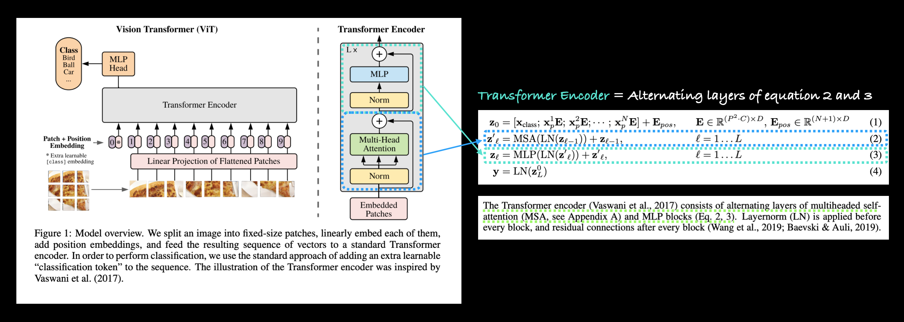 vision transformer architecture with transformer encoder blocks highlighted
