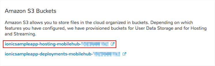 Amazon S3 Buckets