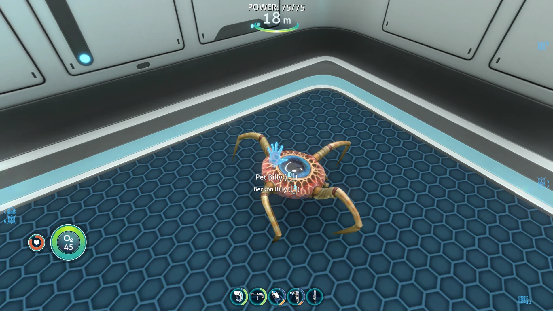 Subnautica Pets 2 SN
